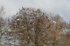 Killikus&reg; Fotographie